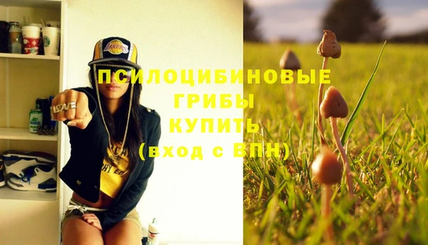 не бодяженный Баксан