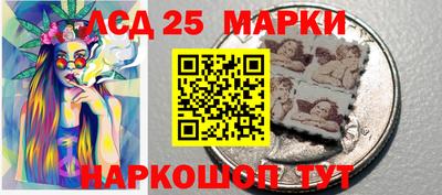 гидропоника Краснодар