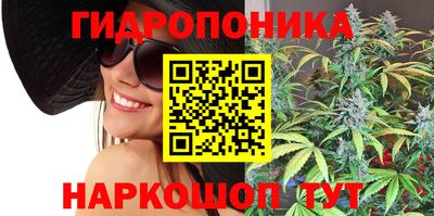 прущие крисы Краснокаменск