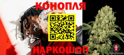 гидропоника Краснодар
