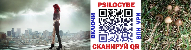 Псилоцибиновые грибы ЛСД omg зеркало Заречный