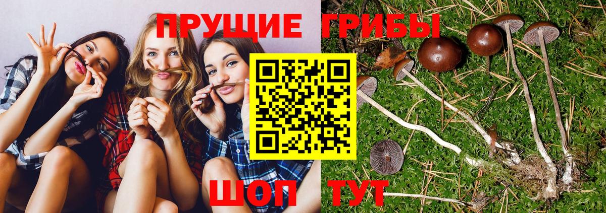 Псилоцибиновые грибы Magic Shrooms Заречный