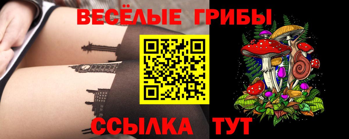 Галлюциногенные грибы мицелий  закладка  Заречный  Вход с VPN 