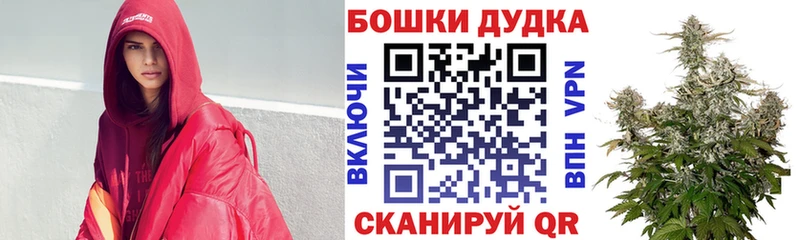 ОМГ ОМГ как войти  купить наркотики цена  Заречный  Каннабис сатива 